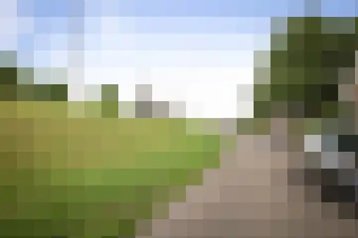 Benedendijk 56 Olst thumbnail 27