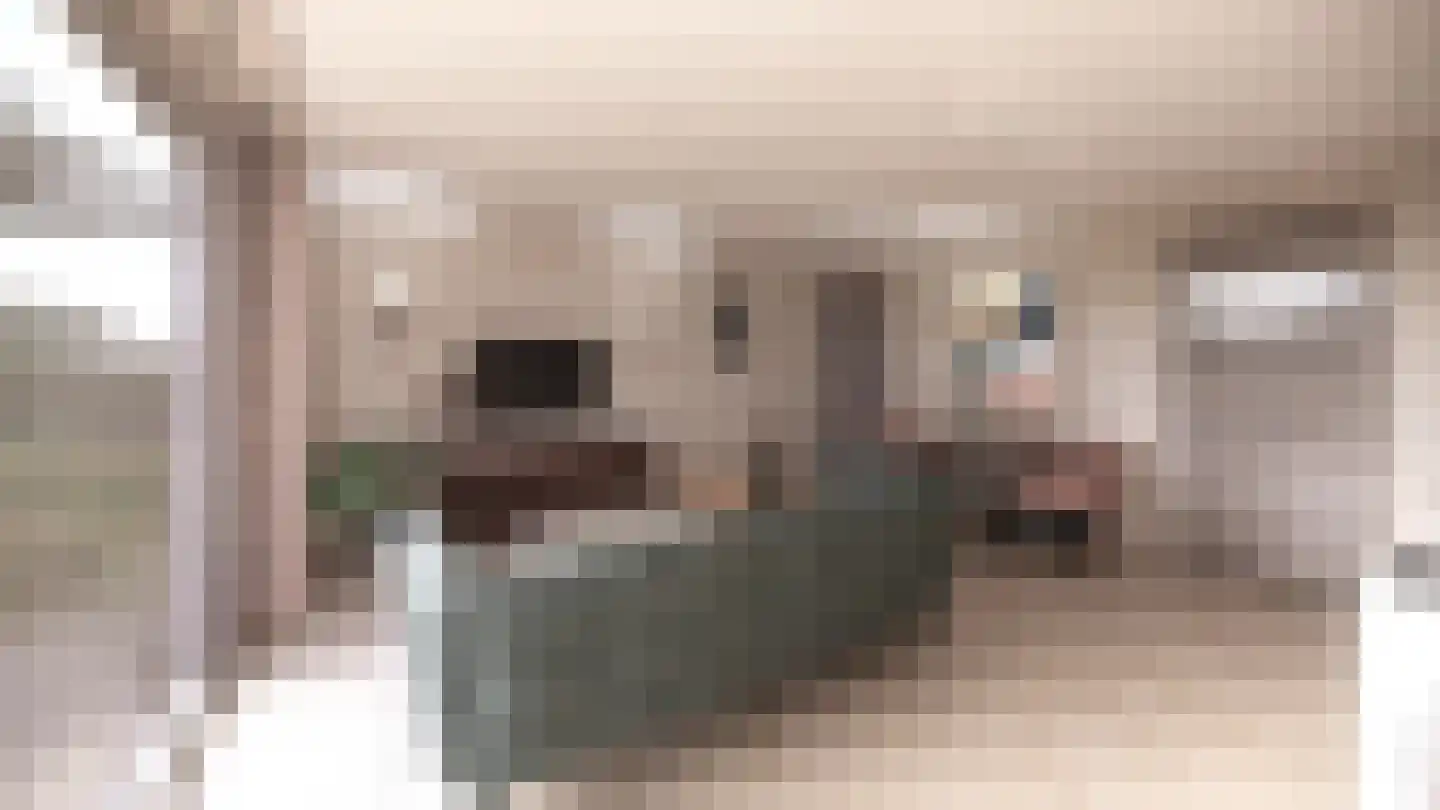 Benedendorpsstraat 13 Zeddam thumbnail 7