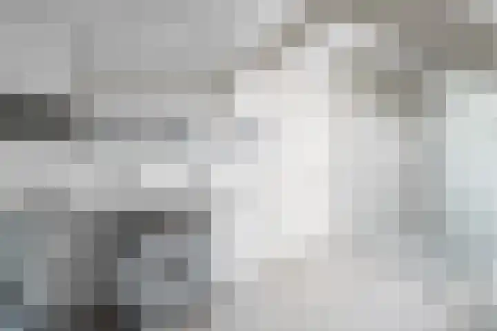 Benedeneind NZ 384 Benschop thumbnail 61