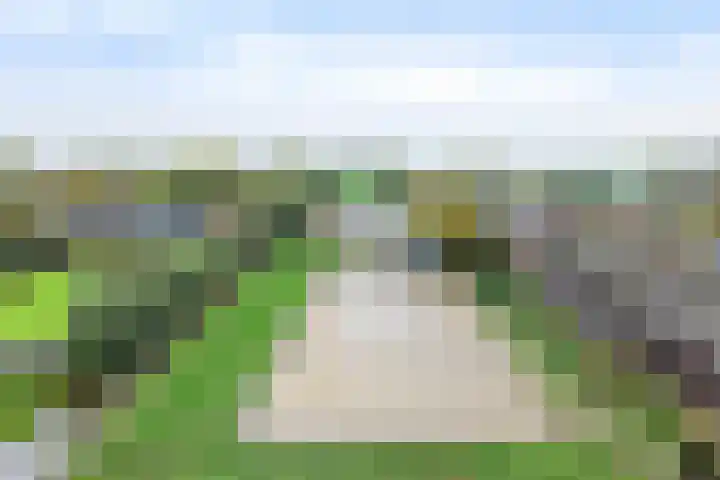 Benedeneind NZ 384 Benschop thumbnail 7