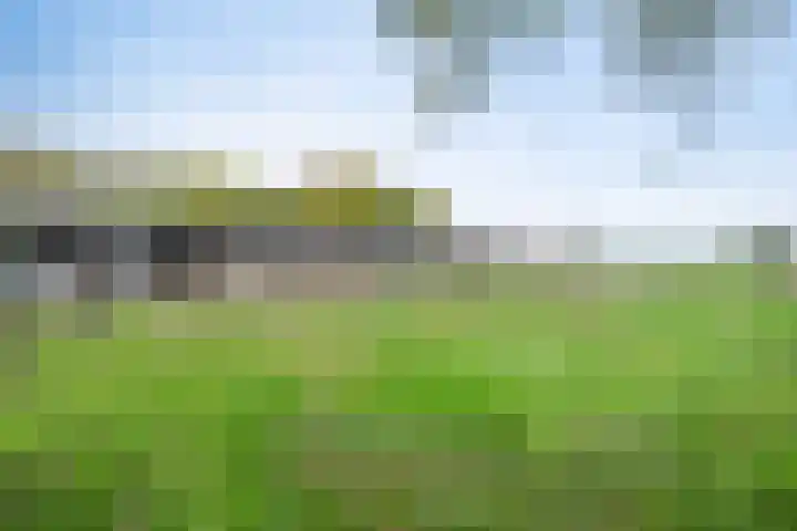 Benedeneind NZ 384 Benschop thumbnail 76