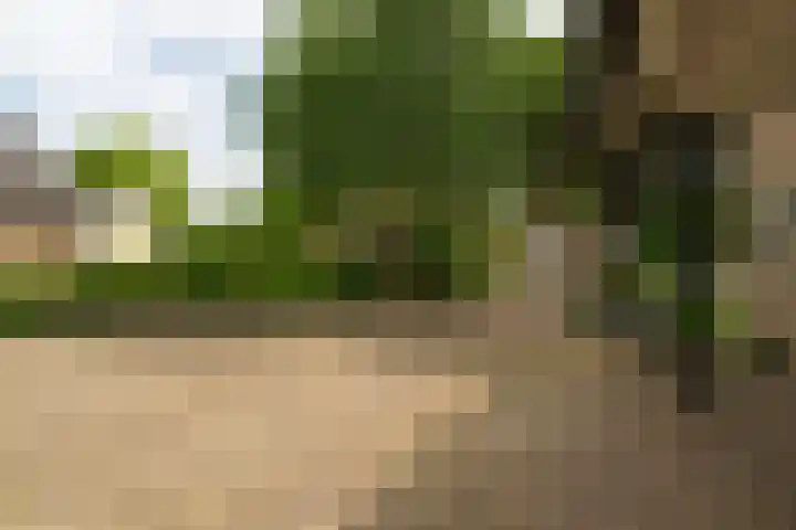 Benedenkerkstraat 80 Waspik thumbnail 20