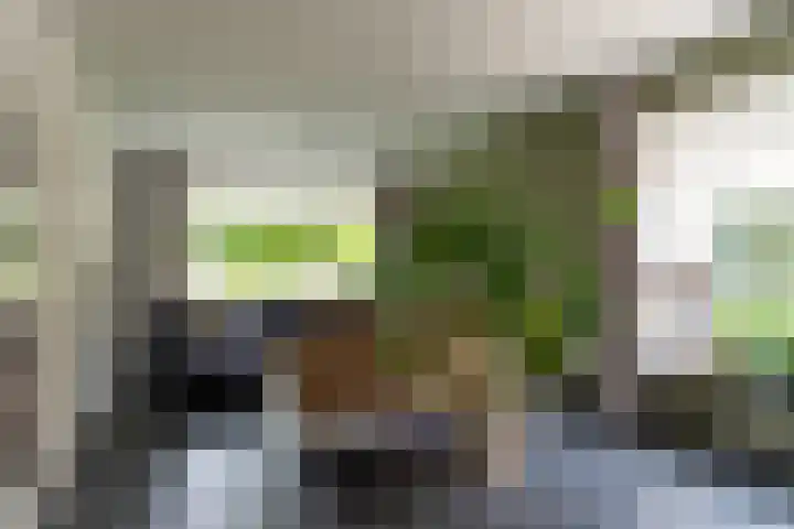 Benedenkerkstraat 80 Waspik thumbnail 23