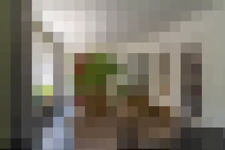 Benedenkerkstraat 80 Waspik thumbnail 27