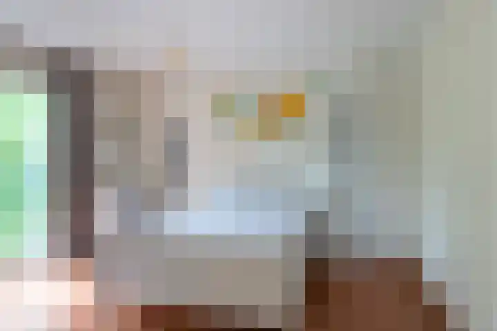 Benedenkerkstraat 80 Waspik thumbnail 36