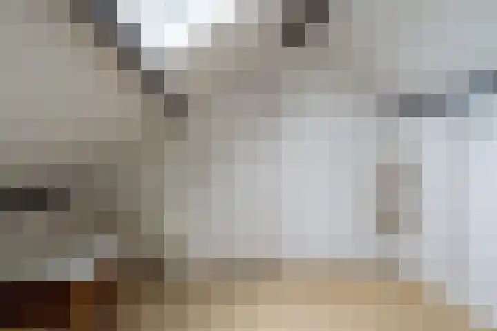 Benedenkerkstraat 80 Waspik thumbnail 47