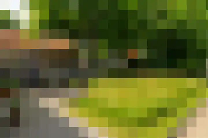 Benedenkerkstraat 80 Waspik thumbnail 6