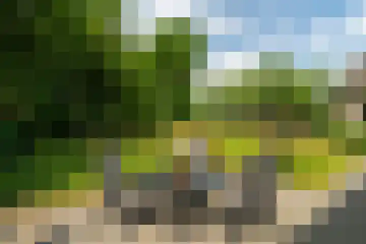 Benedenkerkstraat 80 Waspik thumbnail 7