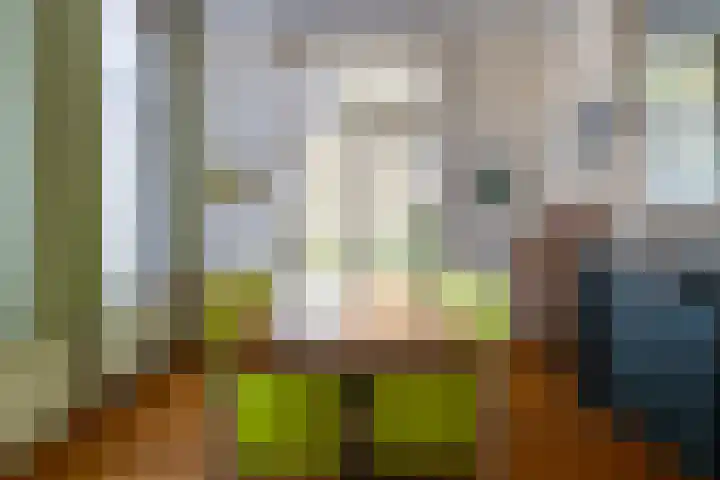 Benedenkerkstraat 87 Waspik thumbnail 11