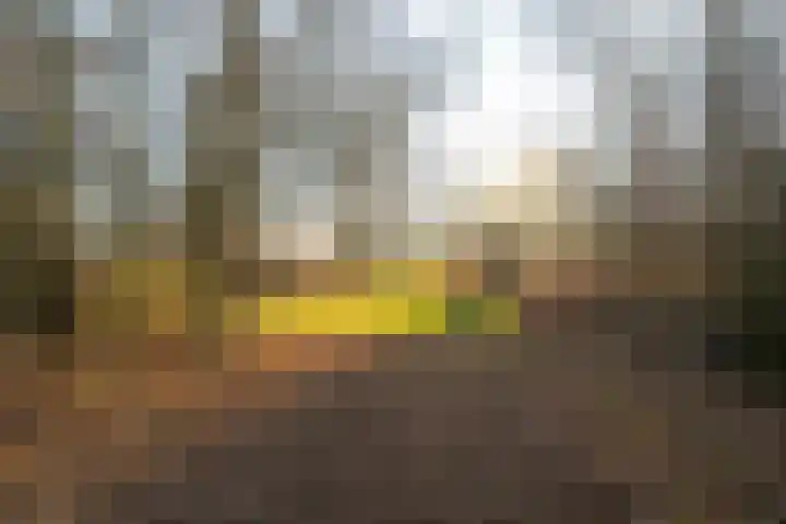 Benedenkerkstraat 87 Waspik thumbnail 51