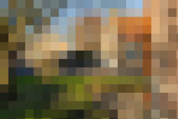 Benedenkerkstraat 87 Waspik thumbnail 7