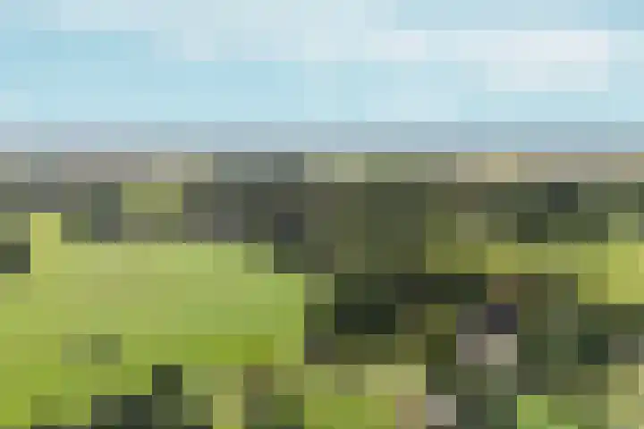 Benedenschap 6 Overasselt thumbnail 62