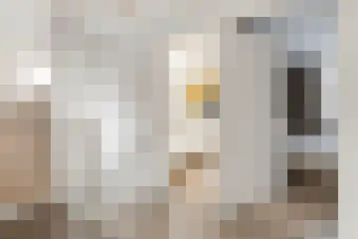 Benedictastraat 12 Bavel thumbnail 19