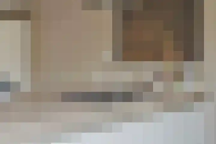 Benedictijnenborch 24 Rosmalen thumbnail 11