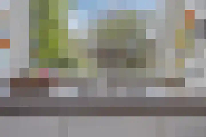 Benedictijnenborch 24 Rosmalen thumbnail 12