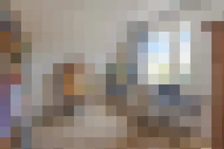 Benedictijnenborch 24 Rosmalen thumbnail 19