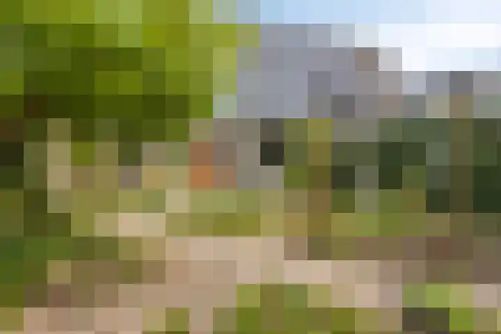 Benedictijnenborch 24 Rosmalen thumbnail 28