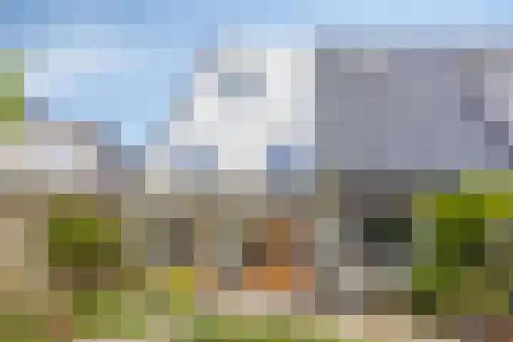 Benedictijnenborch 24 Rosmalen thumbnail 29