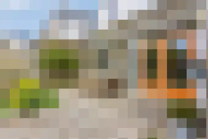 Benedictijnenborch 24 Rosmalen thumbnail 30