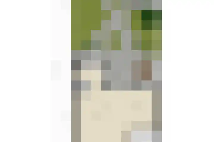 Benedictijnenborch 24 Rosmalen thumbnail 34