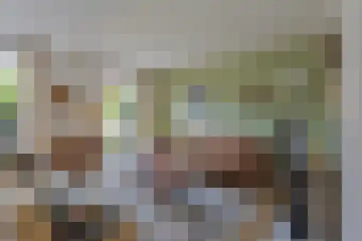 Benedictijnenborch 24 Rosmalen thumbnail 5