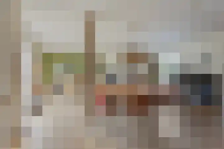 Benedictijnenborch 24 Rosmalen thumbnail 9
