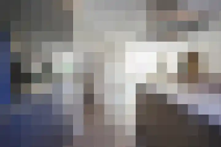 Benedictijnenstraat 12 Vijlen thumbnail 11