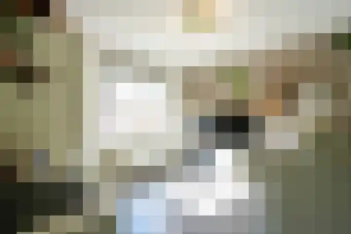 Benedictijnenstraat 12 Vijlen thumbnail 20
