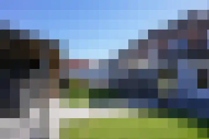 Benedictijnenstraat 12 Vijlen thumbnail 31