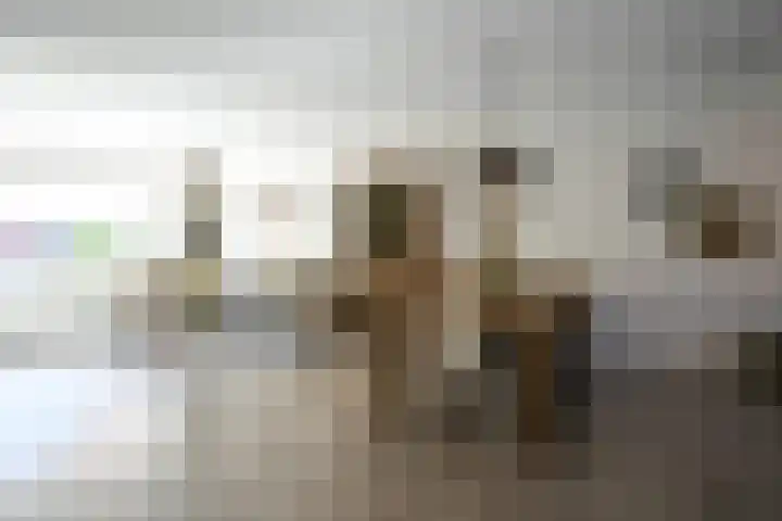 Benedictijnenstraat 12 Vijlen thumbnail 4
