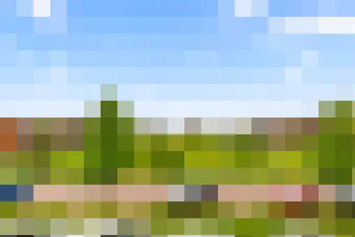 Beneluxlaan 724 Almere thumbnail 13