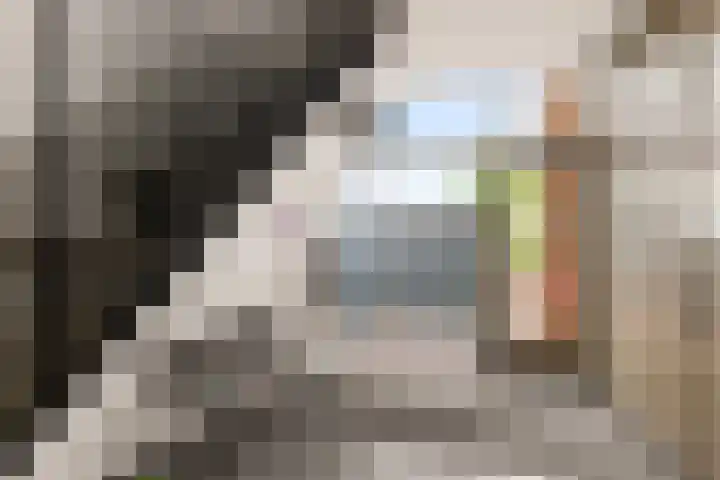 Beneluxlaan 724 Almere thumbnail 31