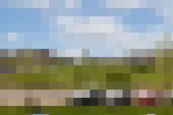 Beneluxlaan 728 Almere thumbnail 8