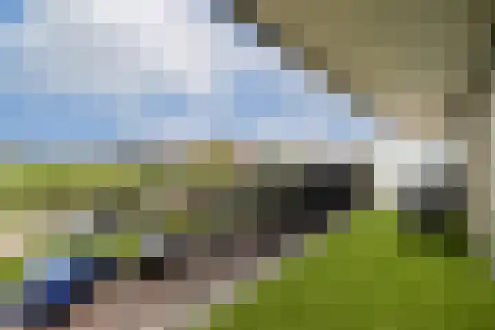 Beneluxlaan 728 Almere thumbnail 9
