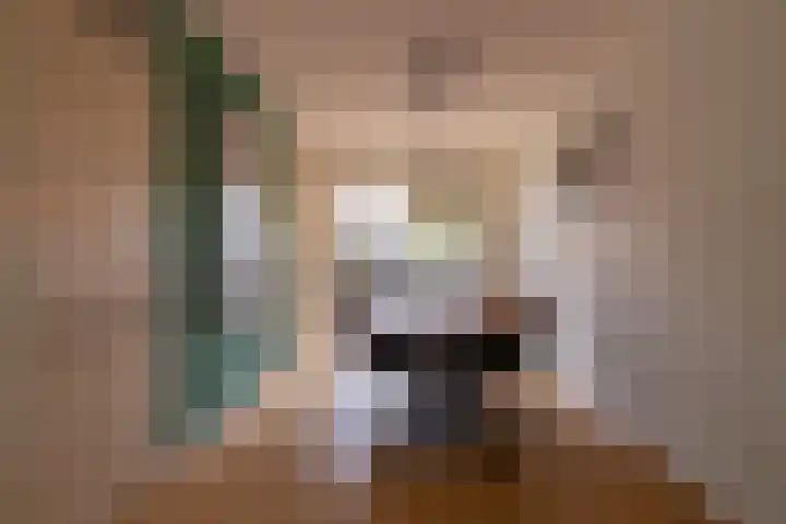 Benjamin Steegengastrjitte 19 Balk thumbnail 10