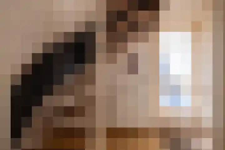 Benjamin Steegengastrjitte 19 Balk thumbnail 19