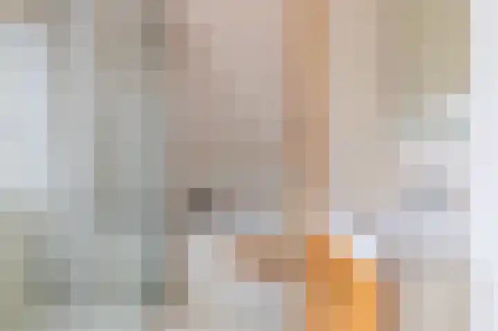Benjamin Steegengastrjitte 19 Balk thumbnail 26