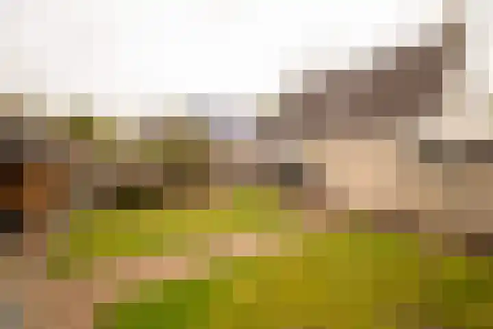 Benjamin Steegengastrjitte 19 Balk thumbnail 30