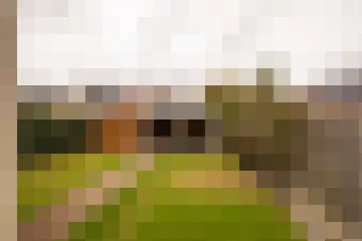Benjamin Steegengastrjitte 19 Balk thumbnail 32