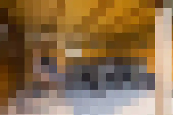 Benjamin Steegengastrjitte 19 Balk thumbnail 33