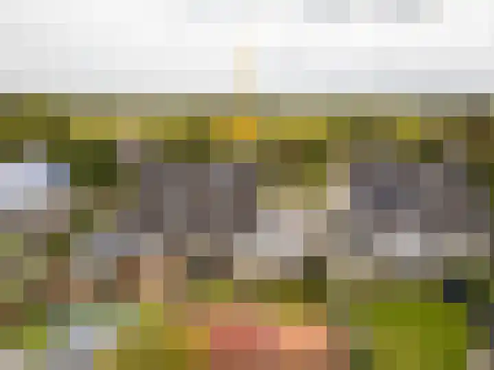 Benjamin Steegengastrjitte 19 Balk thumbnail 34