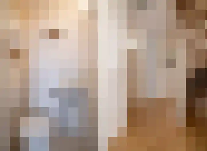 Benjamin Steegengastrjitte 19 Balk thumbnail 5
