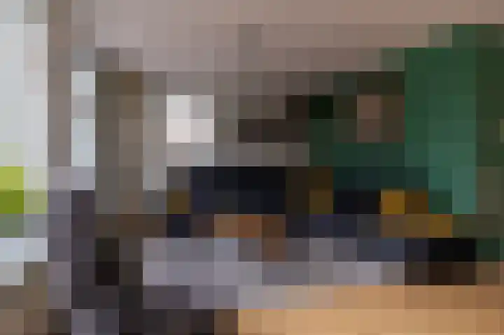 Benjamin Steegengastrjitte 19 Balk thumbnail 7