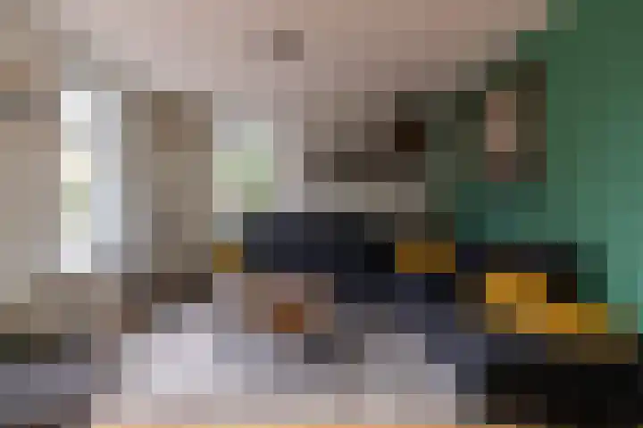 Benjamin Steegengastrjitte 19 Balk thumbnail 8