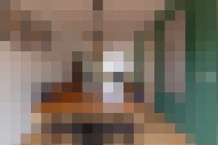 Benjamin Steegengastrjitte 19 Balk thumbnail 9