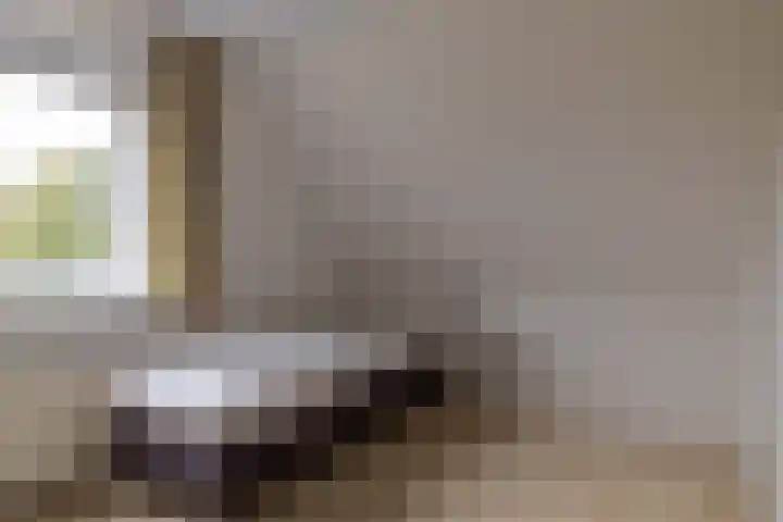 Benjamin Steegengastrjitte 6 Balk thumbnail 36