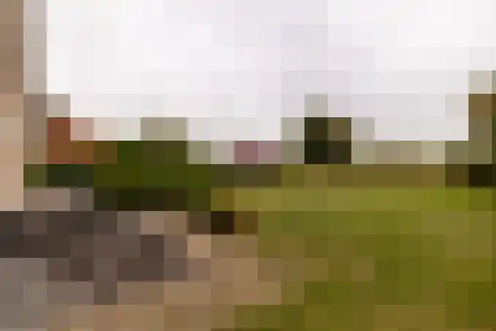 Benjamin Steegengastrjitte 6 Balk thumbnail 38
