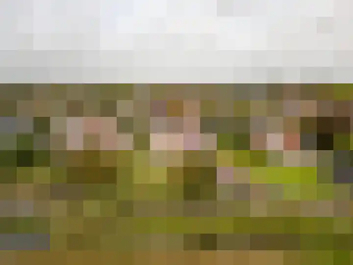 Benjamin Steegengastrjitte 6 Balk thumbnail 44