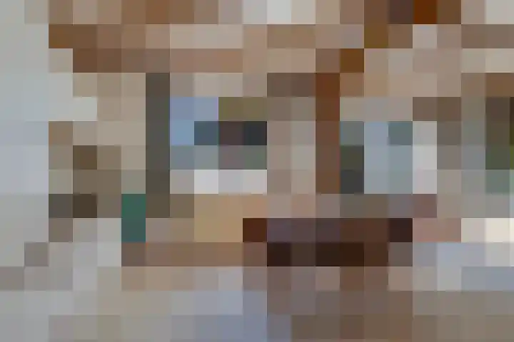 Benterdijk 1 Dalen thumbnail 11