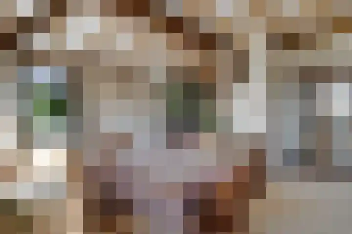 Benterdijk 1 Dalen thumbnail 12